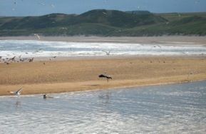 Parcheggio Porto di Cruden Bay