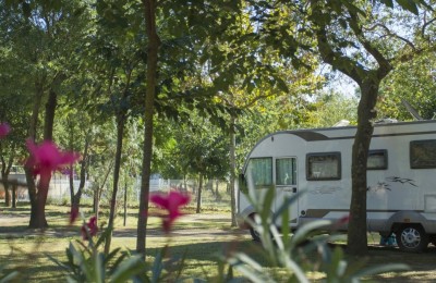 Camping La Sardane