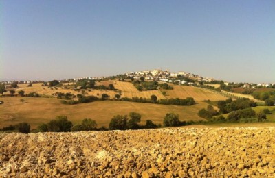 Agriturismo La Casa Vecchia