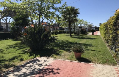 Camping Vallecrosia