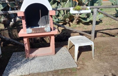 Gli Oleandri