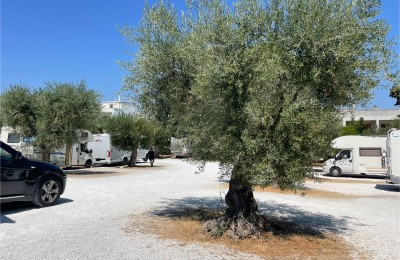 Parcheggio Nel Verde