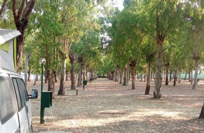 Vagamundo Camping Life