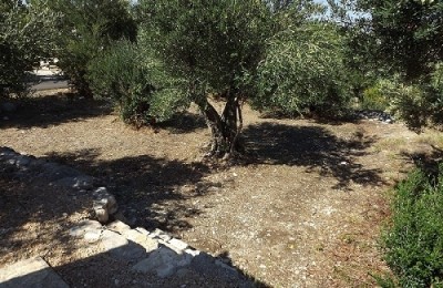 Autocamp Luka Trpanj