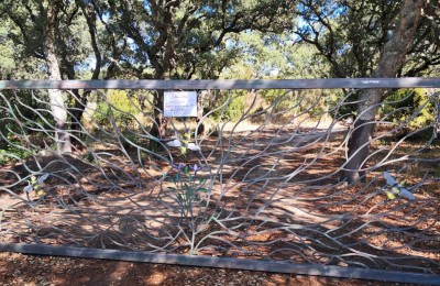 Alcumissu Agricampeggio