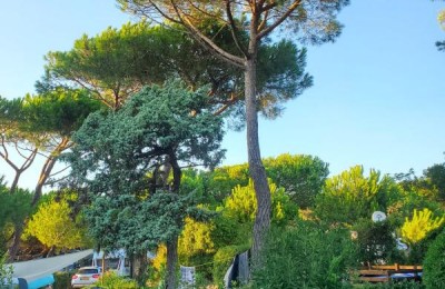 International Camping Village Etruria