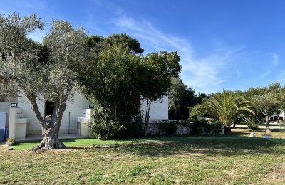 Sosta Camper Il Ruscello