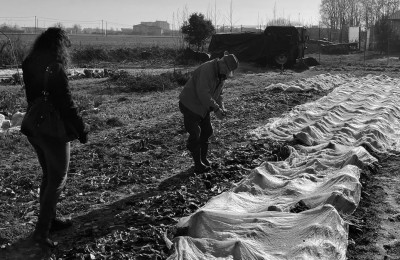 Azienda Agricola Corona