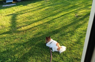 Agriturismo Poggio Caminata