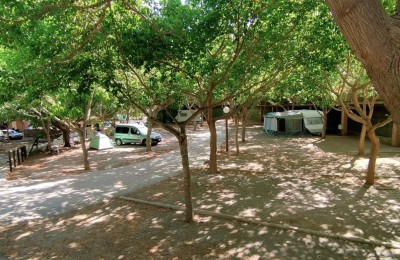 Camping El Pino