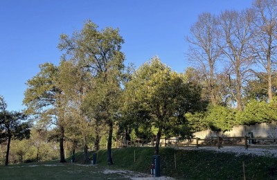 Berici Woods Camping