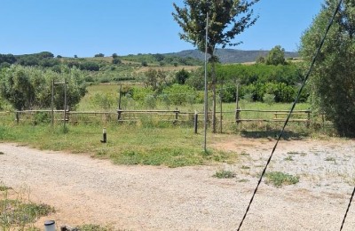 Agricampeggio Podere Etrusco