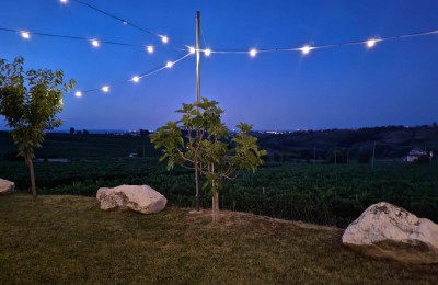 Azienda Agricola Cordini Enrico