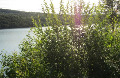 Mudduvagens Rastplats