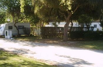 Camping La Rana Verde