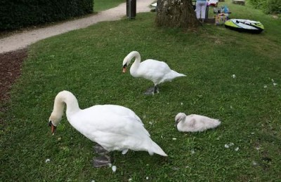 Freizeitanlage an der lauchet