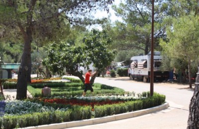 Camping Kovacine