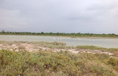 Area camper La Salina
