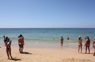 Parque da Palmeira