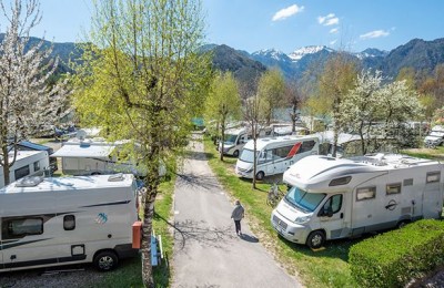 Al Camping Al Sole arriva un dinosauro