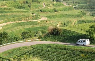 Etrusco, il profilo giusto in fiera a Torino