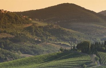 Chiantishire en plein air