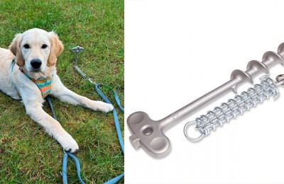 Peggy Peg PetPeg 2.0: the anchor for four-legged friends