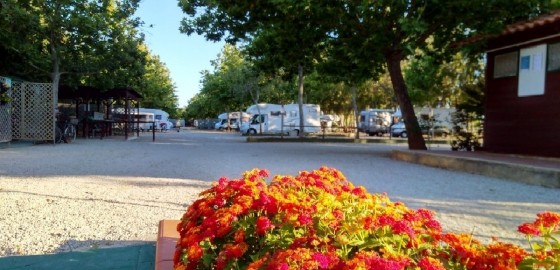 I Platani Area Camper - Alghero (SS)