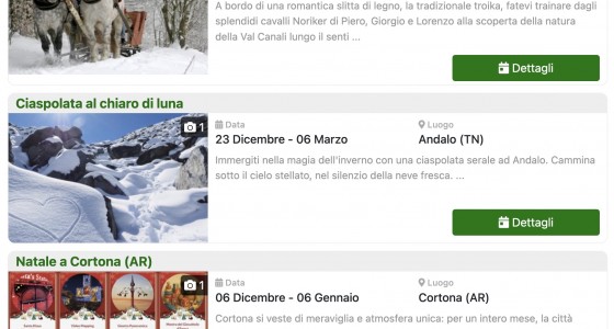 Ispirazioni per le feste