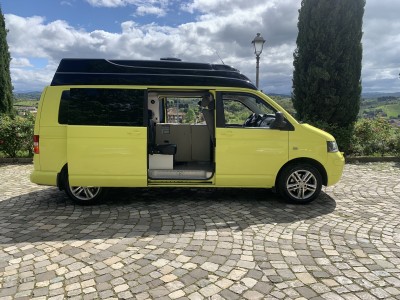 T5