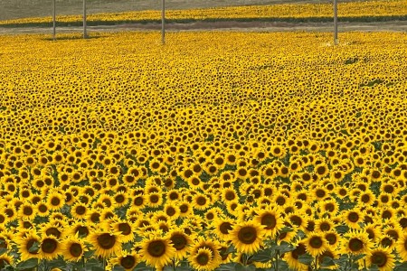 Viaggio in Romania in camper