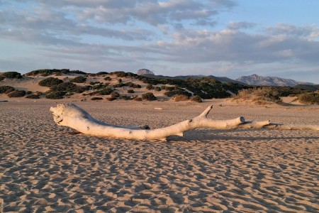 Il paradiso può attendere, la Sardegna 