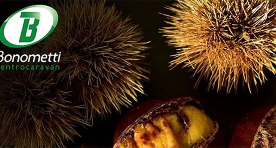 Festa d’Autunno da Bonometti Centrocaravan