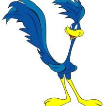 Roadrunner