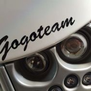 gogoteam 