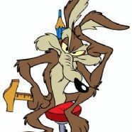 willycoyote