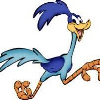 roadrunner55