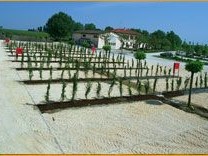 Agriturismo Tenuta Augusta