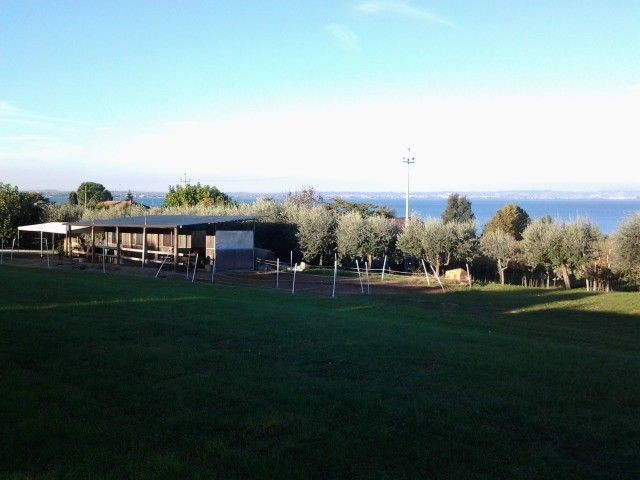 Agriturismo Al Bor