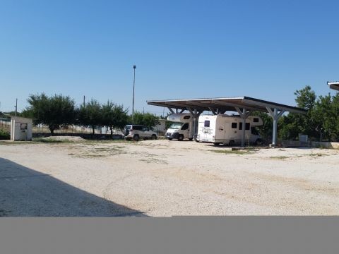 Area Coppa Cicuta