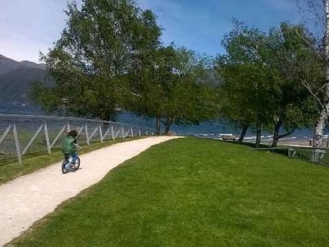 Area comunale
