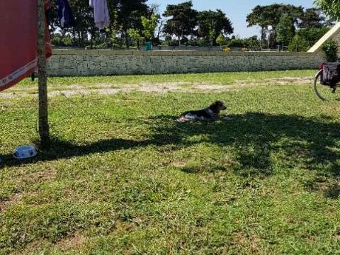 Tenuta I Quattro Venti