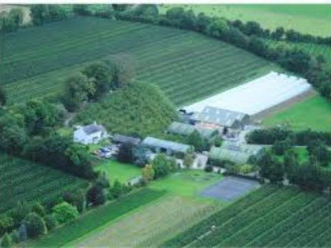 Apple Farm Cahir