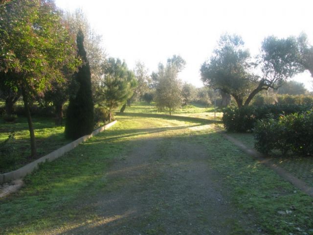 Fattoria Parco degli Ulivi