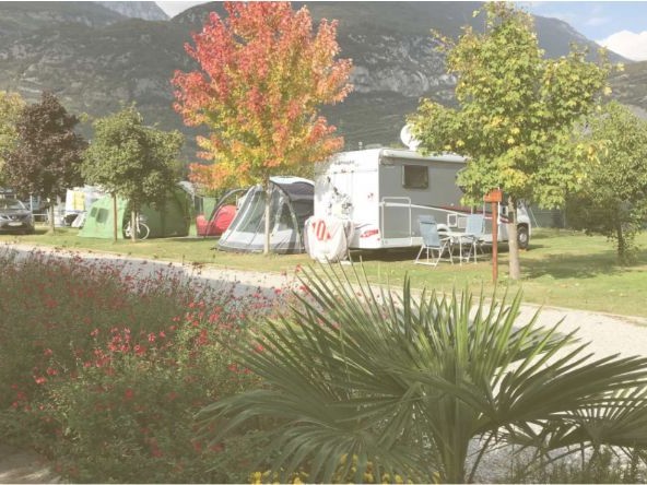 AB&C Arco Bed and Camping
