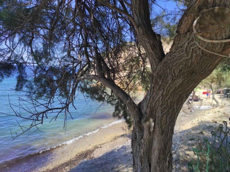 Camping Acquaviva