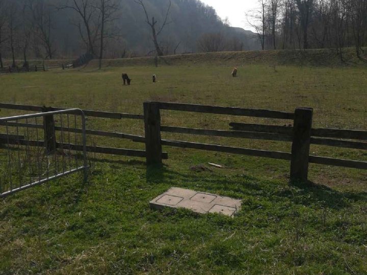 Azienda agricola Cascina della Volpe