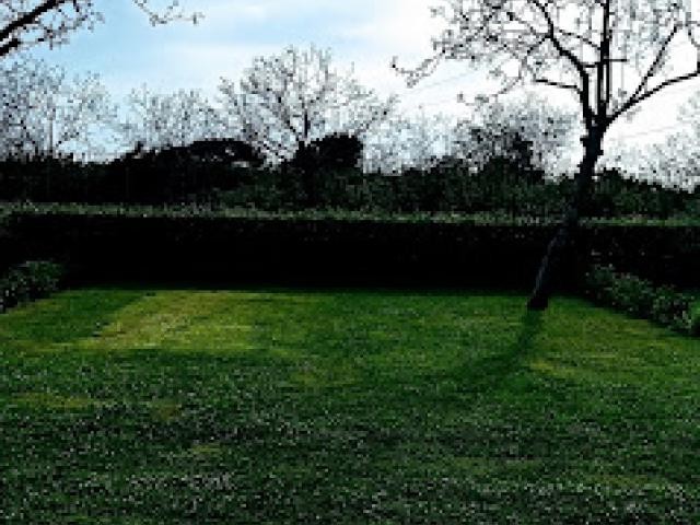 Villa Julia Camping