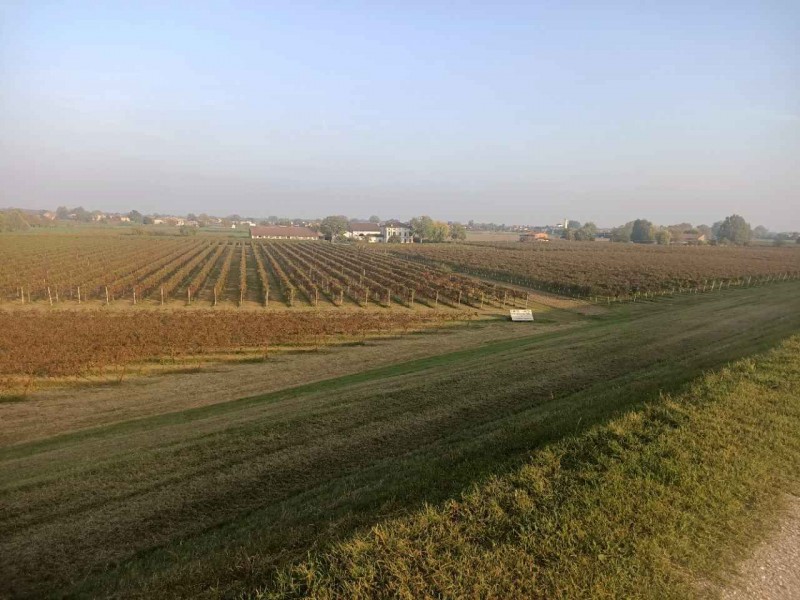 Agricampeggio Corte Viazza