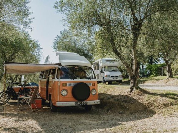Agriturismo il Sambuco